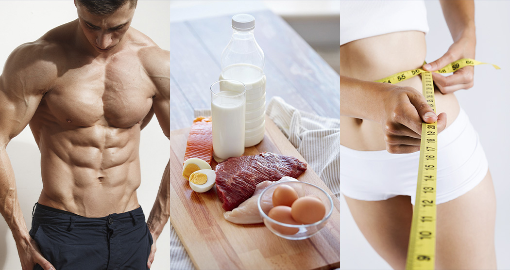 protein-for-slimness_500_2.jpg