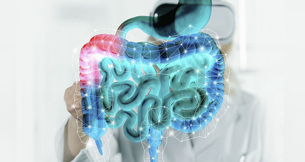 banner_intestinal-motility_300_1.jpg banner_intestinal-motility_300_1.jpg
